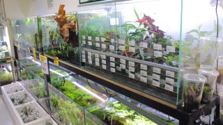 かねだい　横浜店